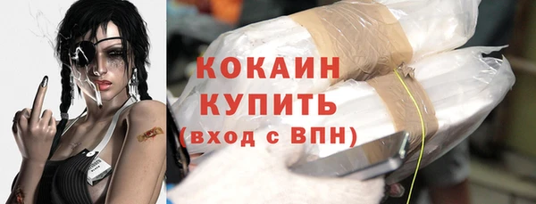 молекула духа Киреевск