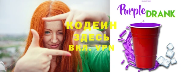 мдпв Кодинск