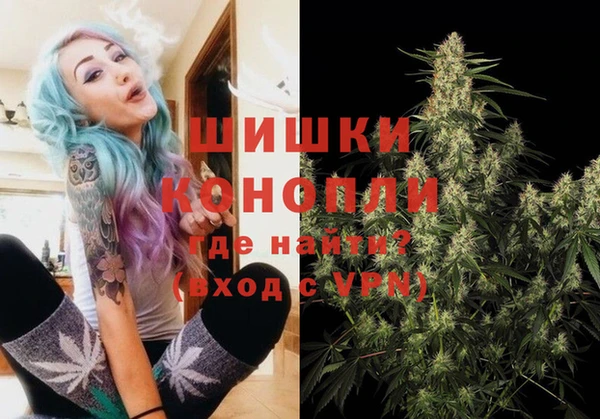 молекула духа Киреевск