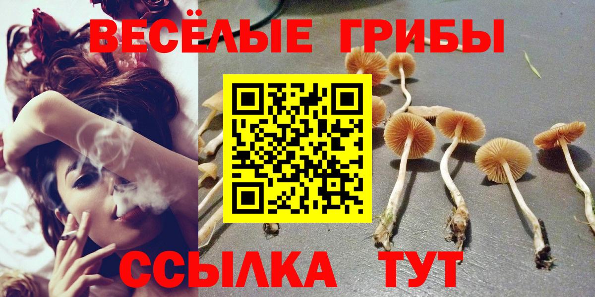 Галлюциногенные грибы ЛСД Мелеуз