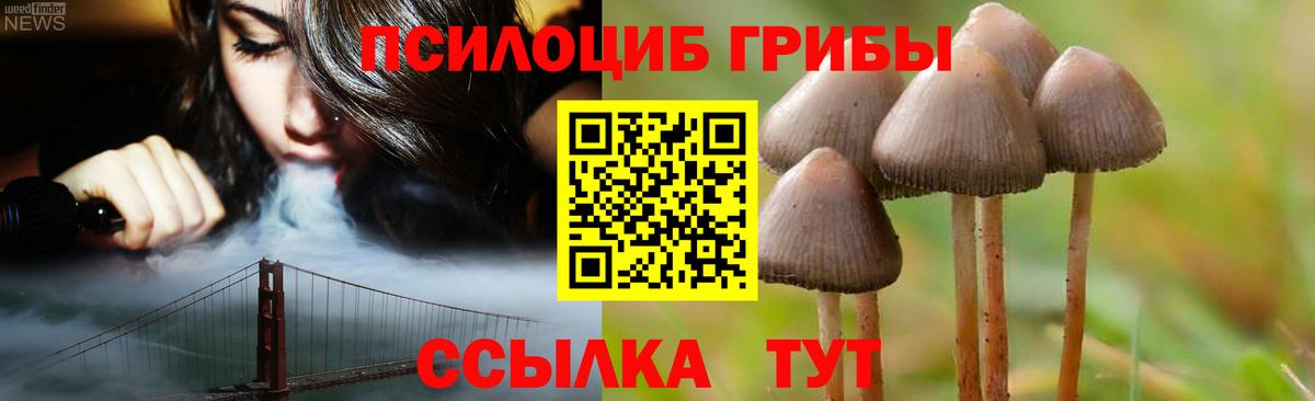 Мелеуз  Галлюциногенные грибы мицелий  Псилоцибиновые грибы мицелий  Вход с VPN 